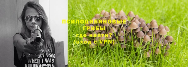 MESCALINE Корсаков