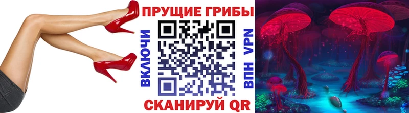 Галлюциногенные грибы прущие грибы  Купить  Рудня 